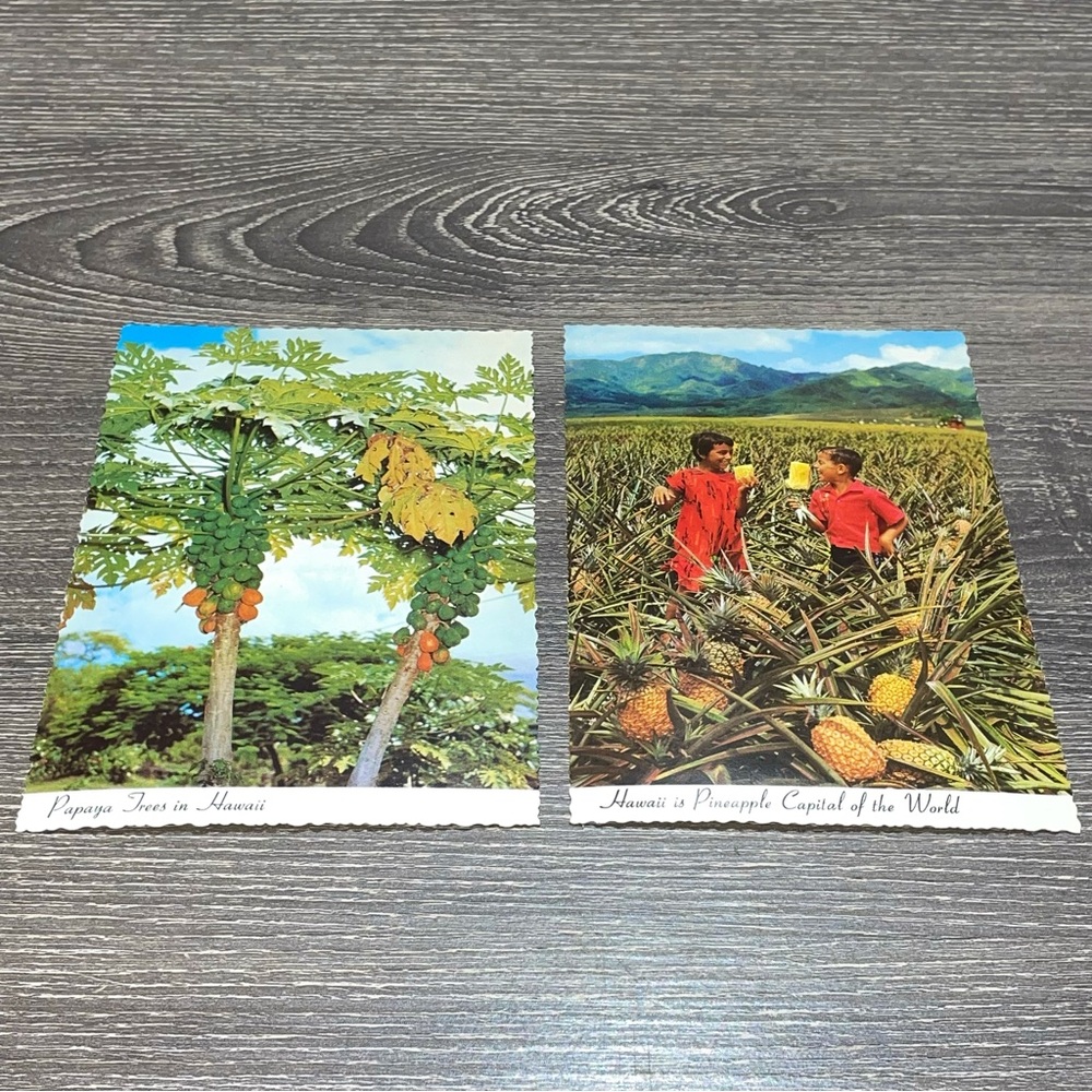 VINTAGE HAWAIIAN POST CARDS Papaya Trees Pineapple Field Bundle Of 2ea